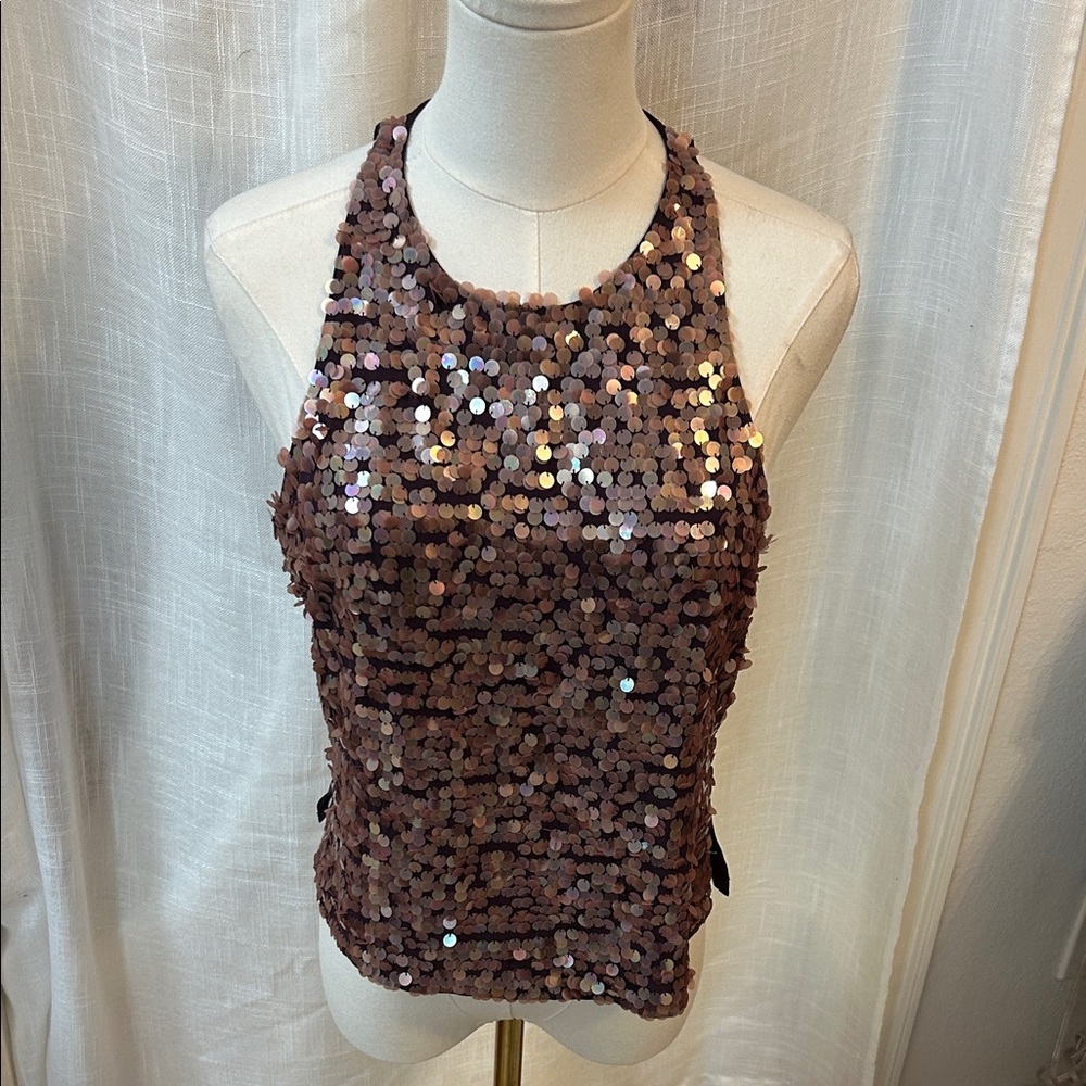 Shimmering Sequin Purple Top.